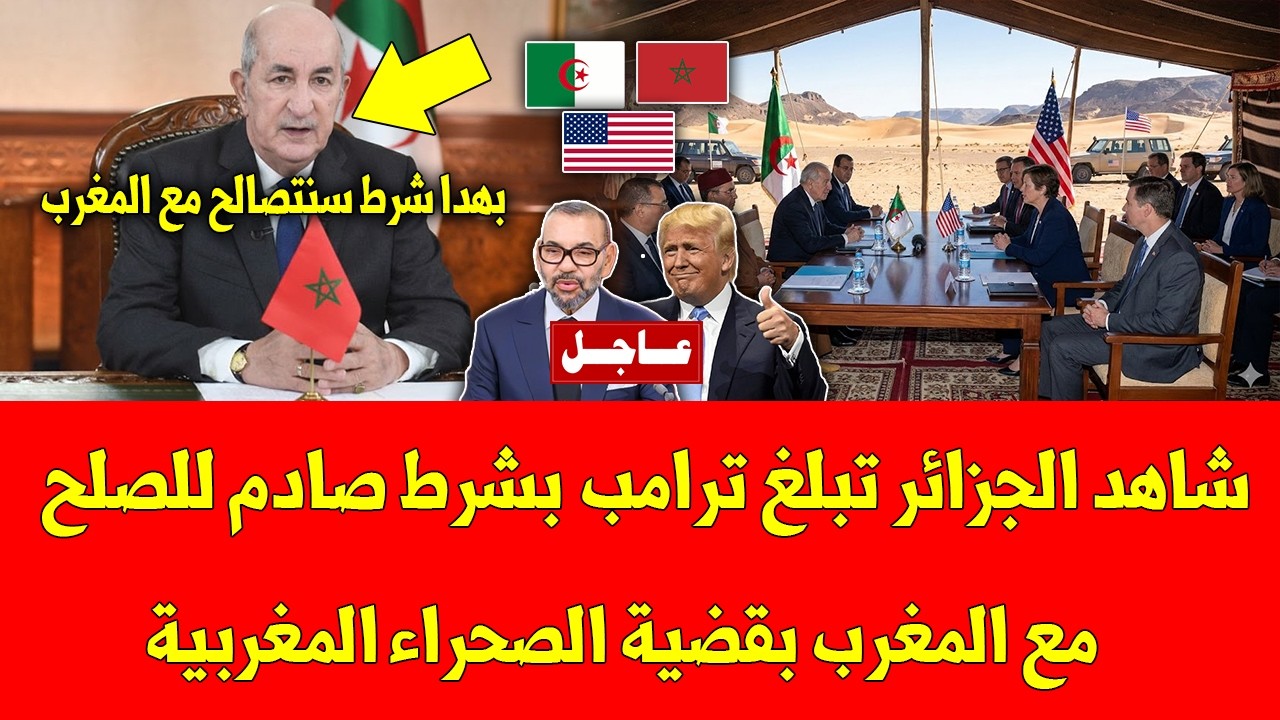 خبر عاجل شاهد الجزائر تبلغ ترامب بشرط صادم للصلح مع المغرب بقضية الصحراء المغربية - شاهد التفاصيل