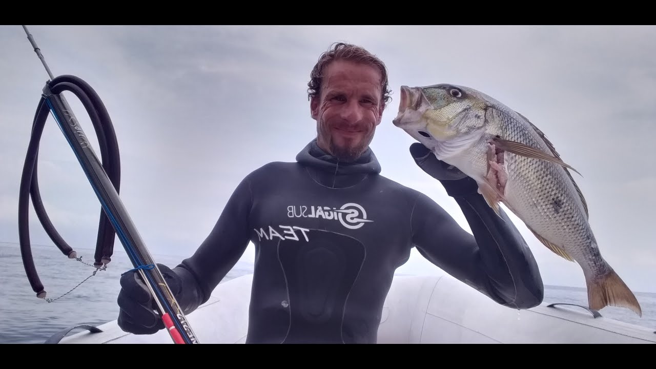 AGACHON DENTI DANS PAS BEAUCOUP D'EAU