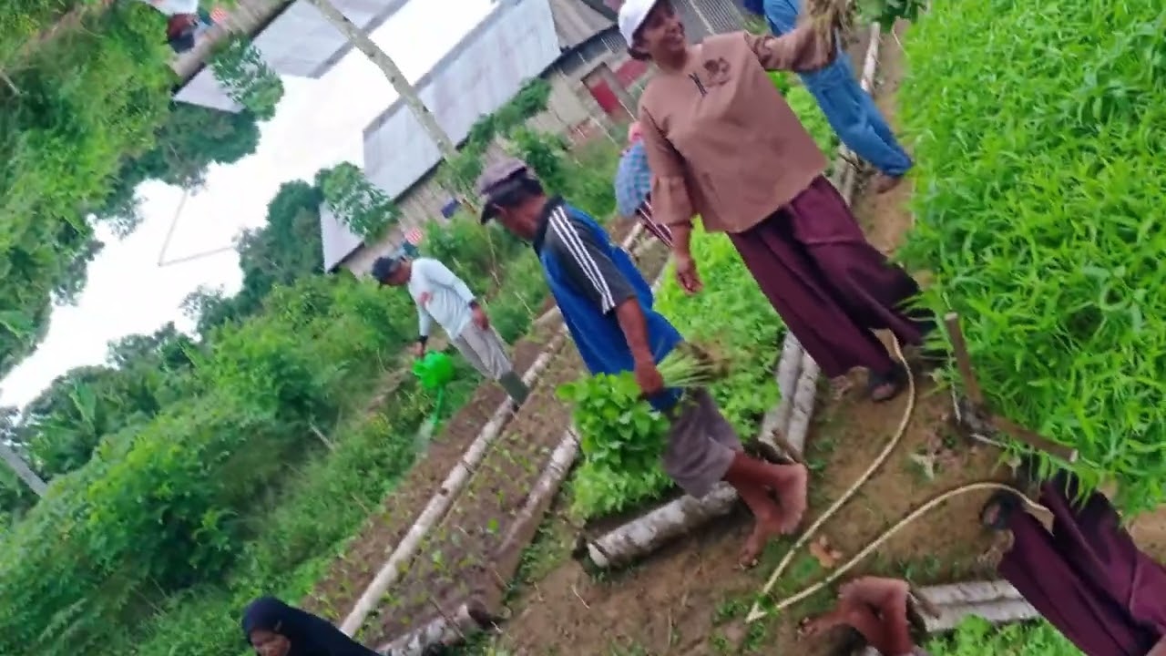 3 dekade perjalanan sintesa