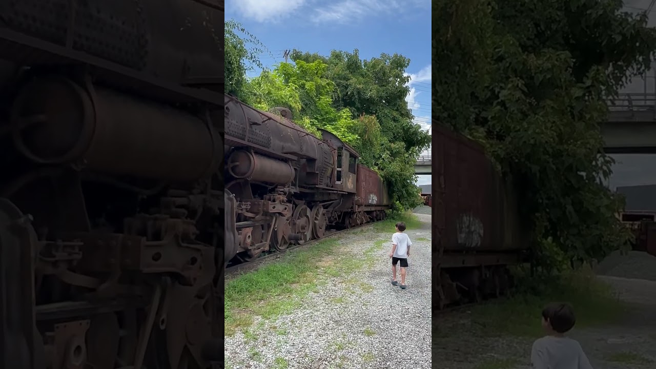 Abandoned steam train, rusting and covered in weeds.
