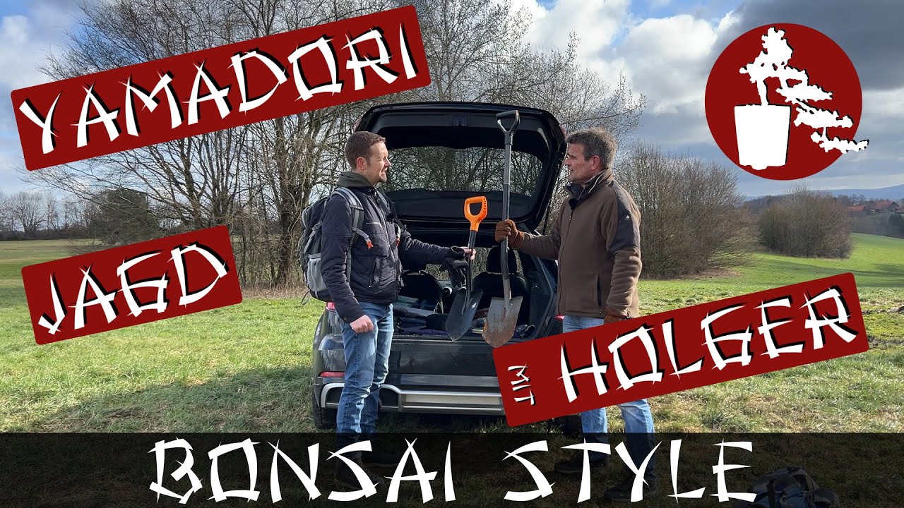 Yamadori Jagd mit Holger | Birke (Betula) und Rotbuche (Fagus sylvatica) | #055 Bonsai Style