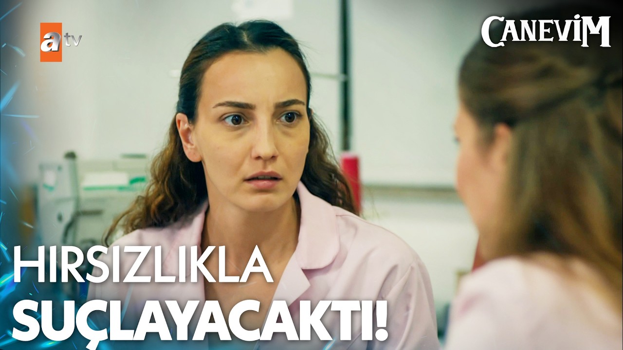 İş arkadaşının üstüne suç atacaktı - Canevim 10. Bölüm