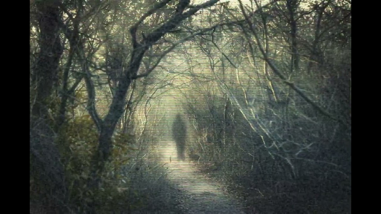 The Whispering Forest horror story | a true horror story in Germany