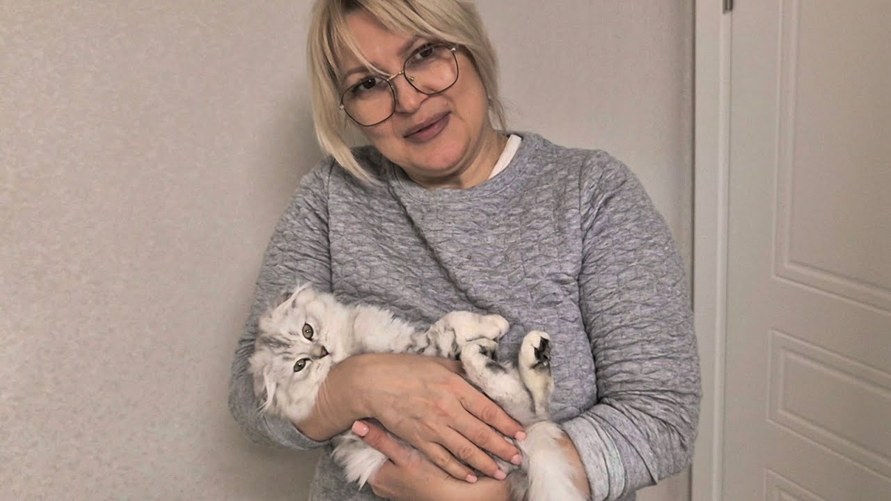 Смотрим глазки котят 😊