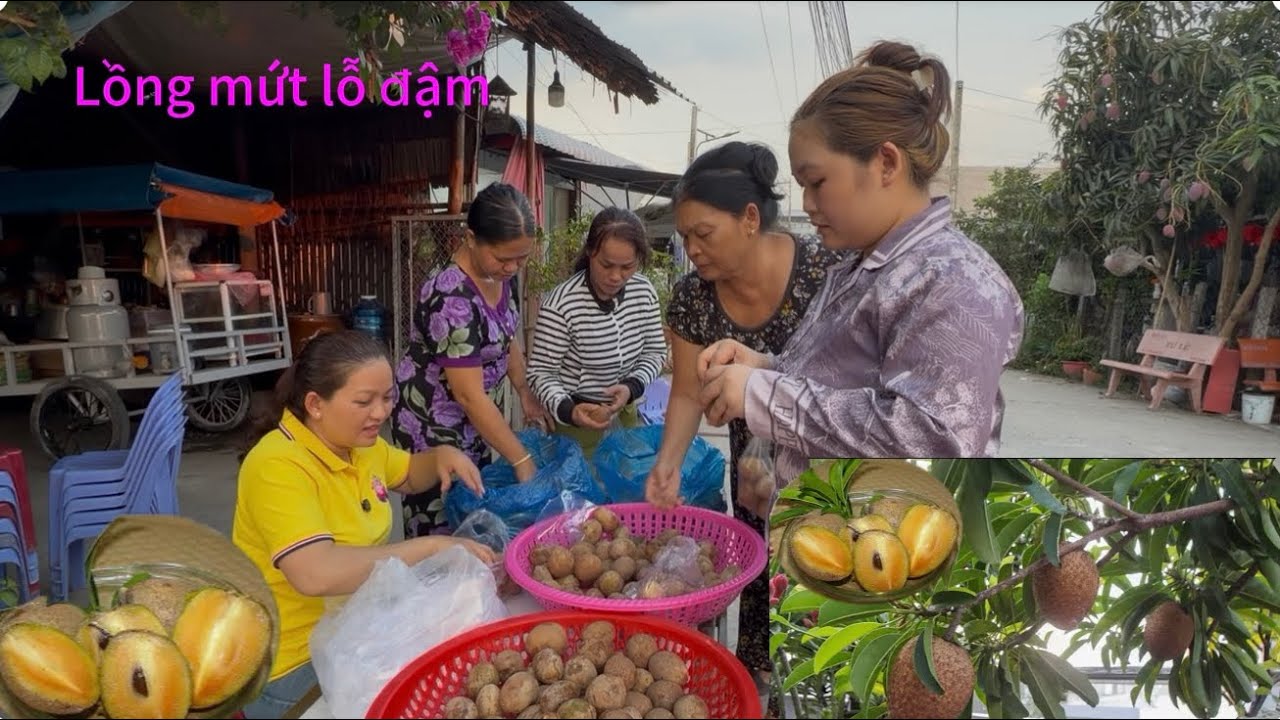Nhờ Bà Con Thương Tình Ủng Hộ Lồng Mứt Thôi Lỗ Đậm Luôn/Tập 106