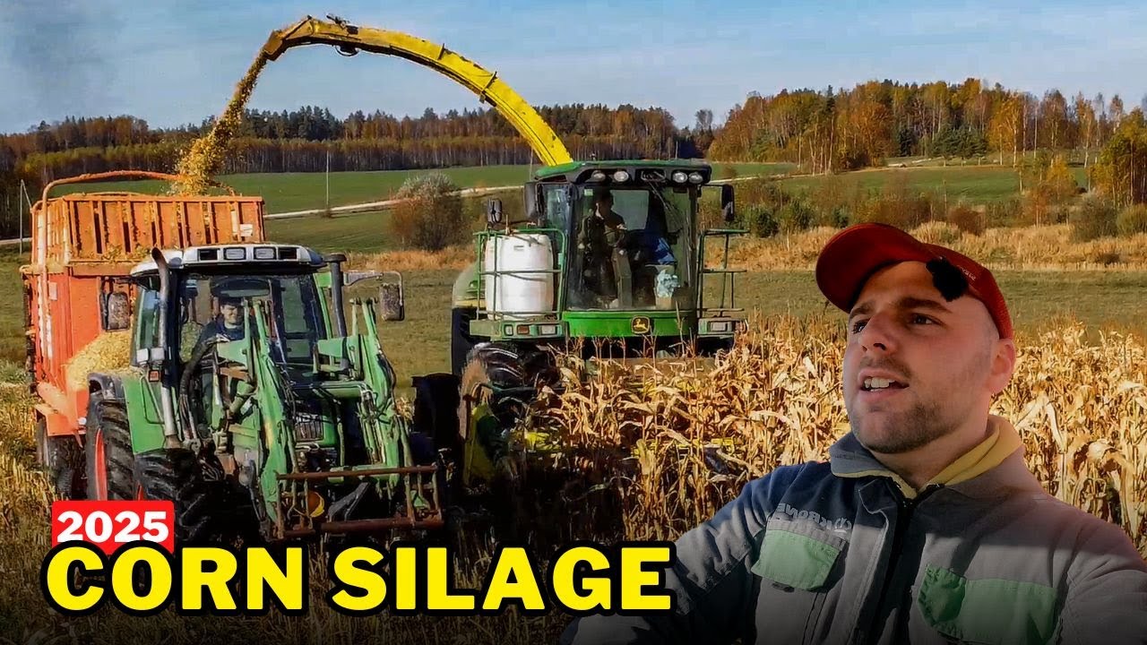 Уборка кукурузного силоса с друзьями! 2025 🌽🚜