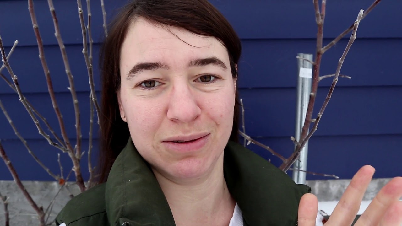WHY WE DON'T BUY HEIRLOOM SEEDS