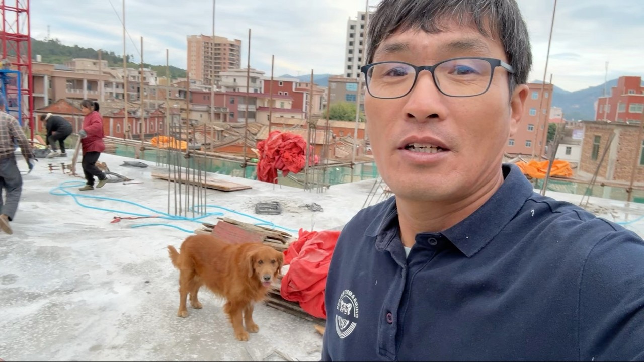 工友问我家金毛犬会不会买菜，我的回答把她逗乐了！