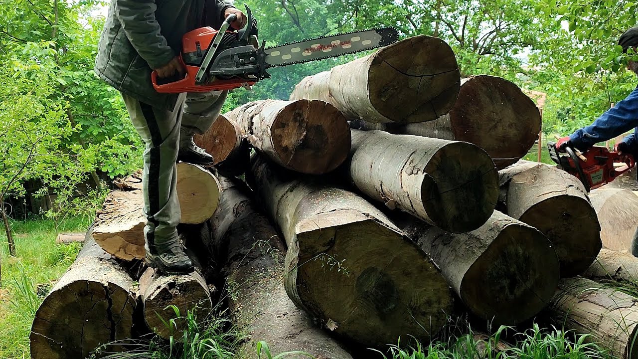 Husqvarna 585 & 365 X-Torq team work !!!