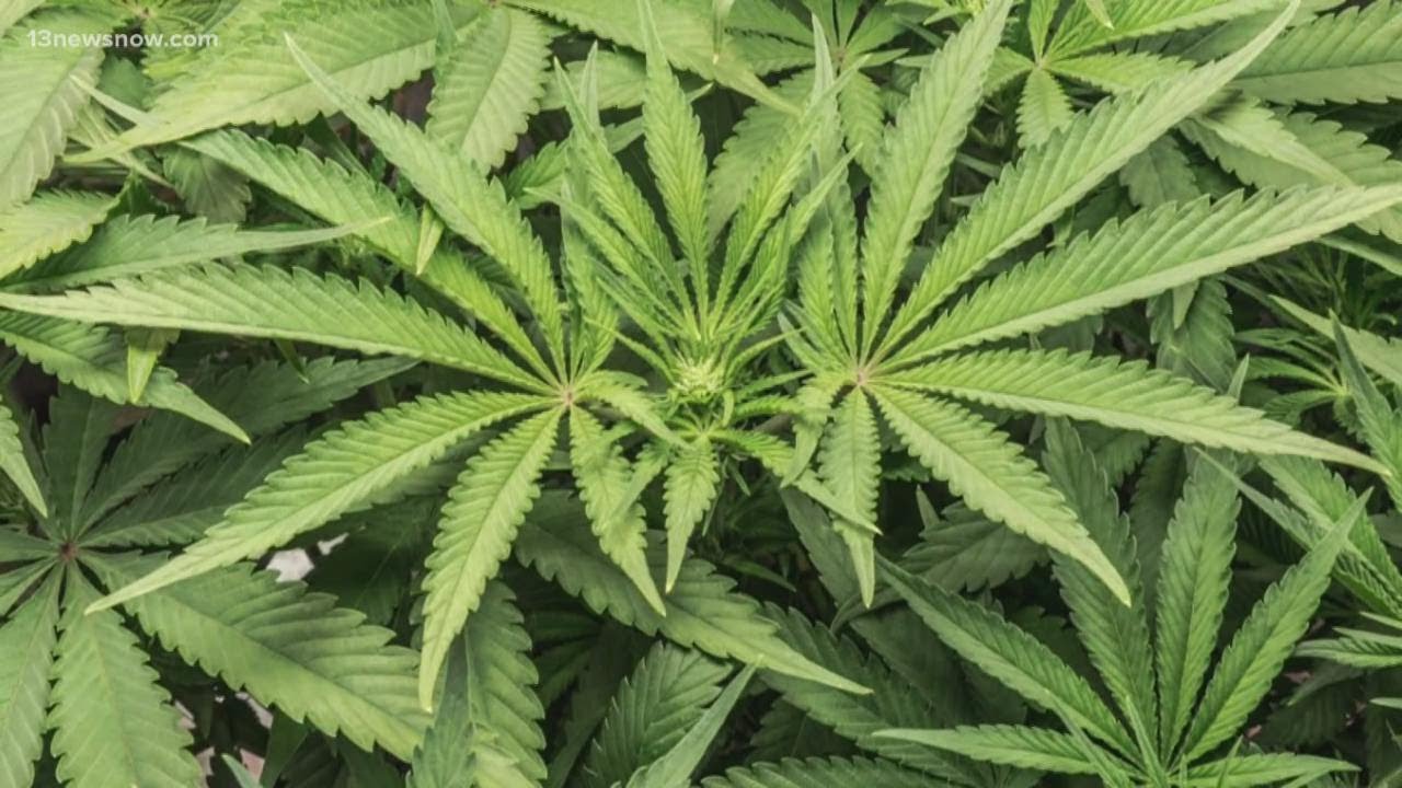 Virginia is one step closer to legalizing marijuana