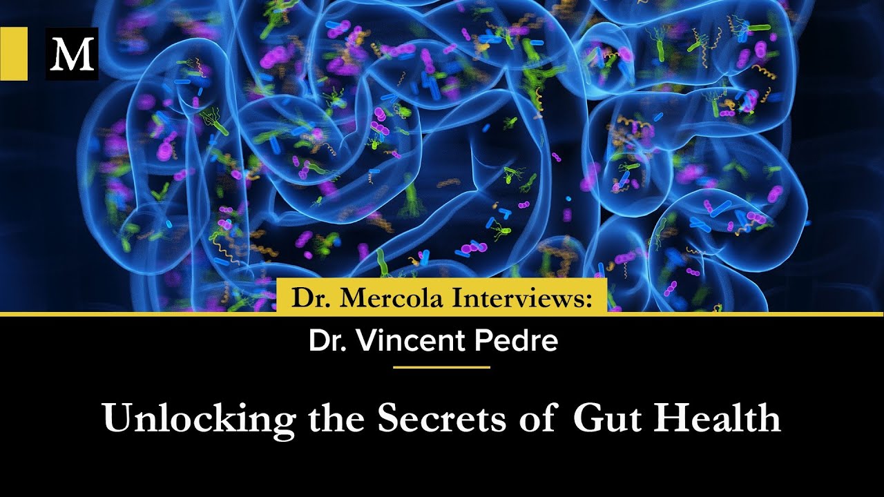 Unlocking the Secrets of Gut Health — Interview with Dr. Vincent Pedre