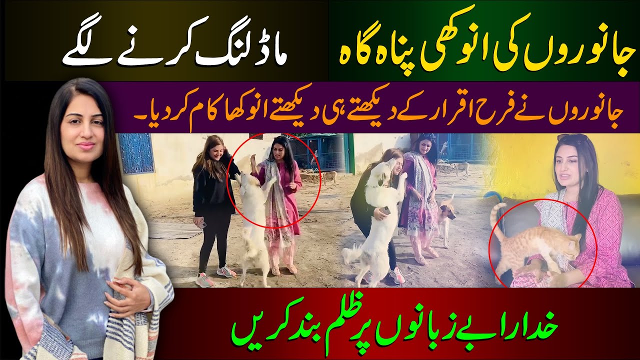 My visit to JFK Animal Rescue and Shelter | Funny & Strange gestures of animals | Farah Iqrar