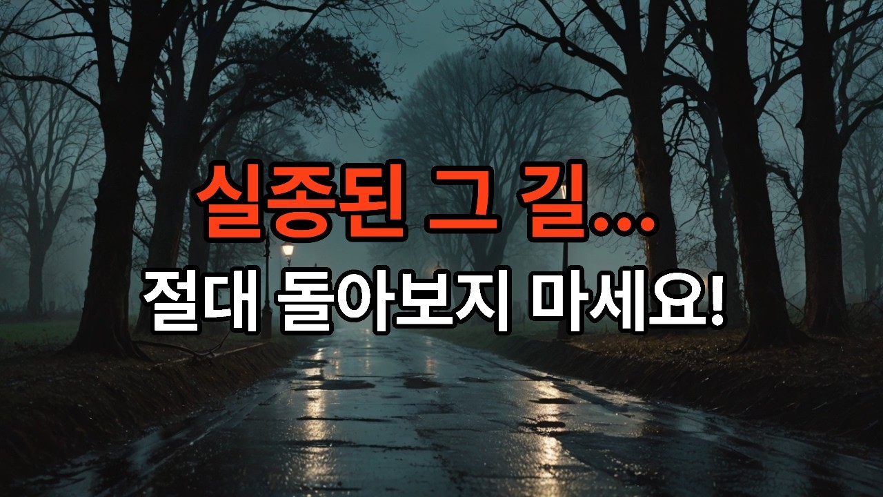실종 이후 발견된 정체불명의 흔적들… 밤마다 보이는 불빛 | 미스터리 2부미#미스터리영상 #공포채널 #이야기채널 #무서운이야기