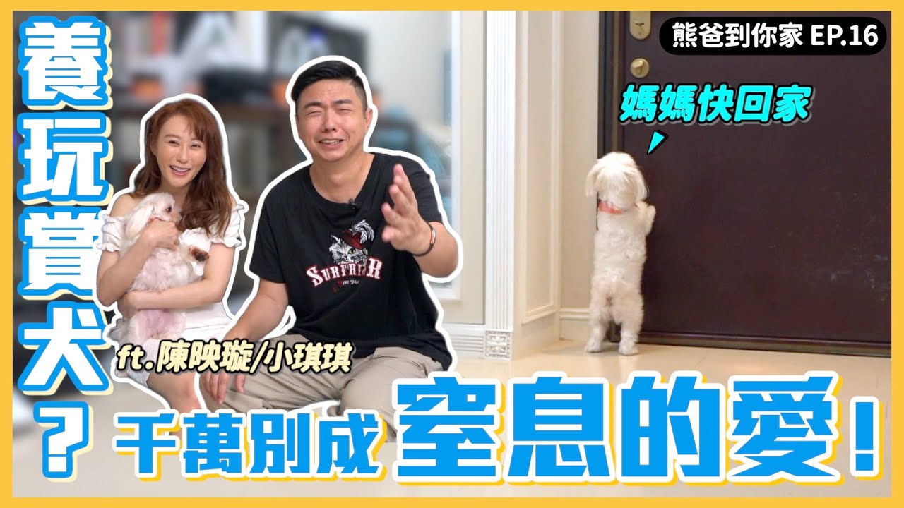 熊爸到你家EP.16｜你養玩賞犬？ 這集很重要！｜熊爸估狗 feat.陳映璇+小琪琪(玩賞犬-馬爾濟斯)