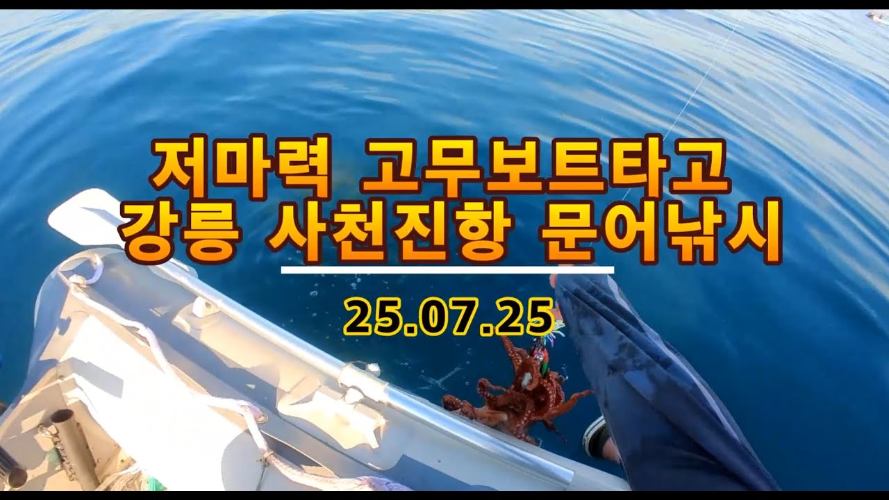 어쩌다 피문어가 쌍걸이~ (보트낚시, 바다낚시, 문어낚시, 무면허보트 )문어가 쌍걸이로 나오네요