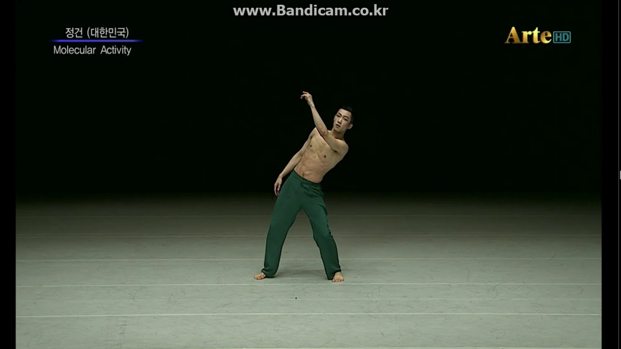 13th , 2016 SIDC(서울국제무용콩쿨) - Jeong Geon 정건