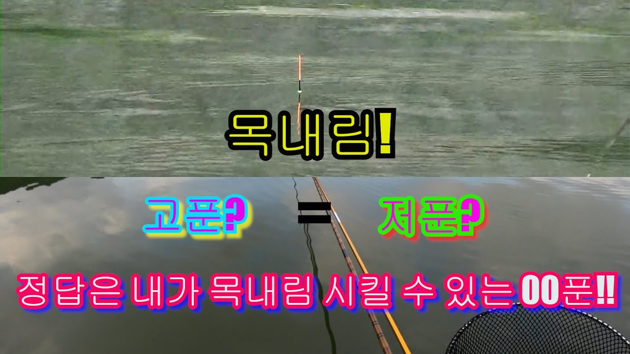 [노지전층낚시] 목내림은 과연 몇 푼이 적정한가?