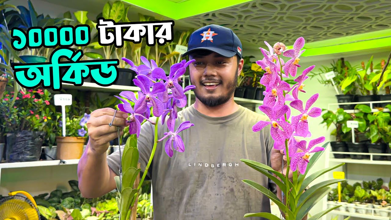 বৃক্ষ মেলা থেকে কিনেছি ১০০০০ টাকার অর্কিড