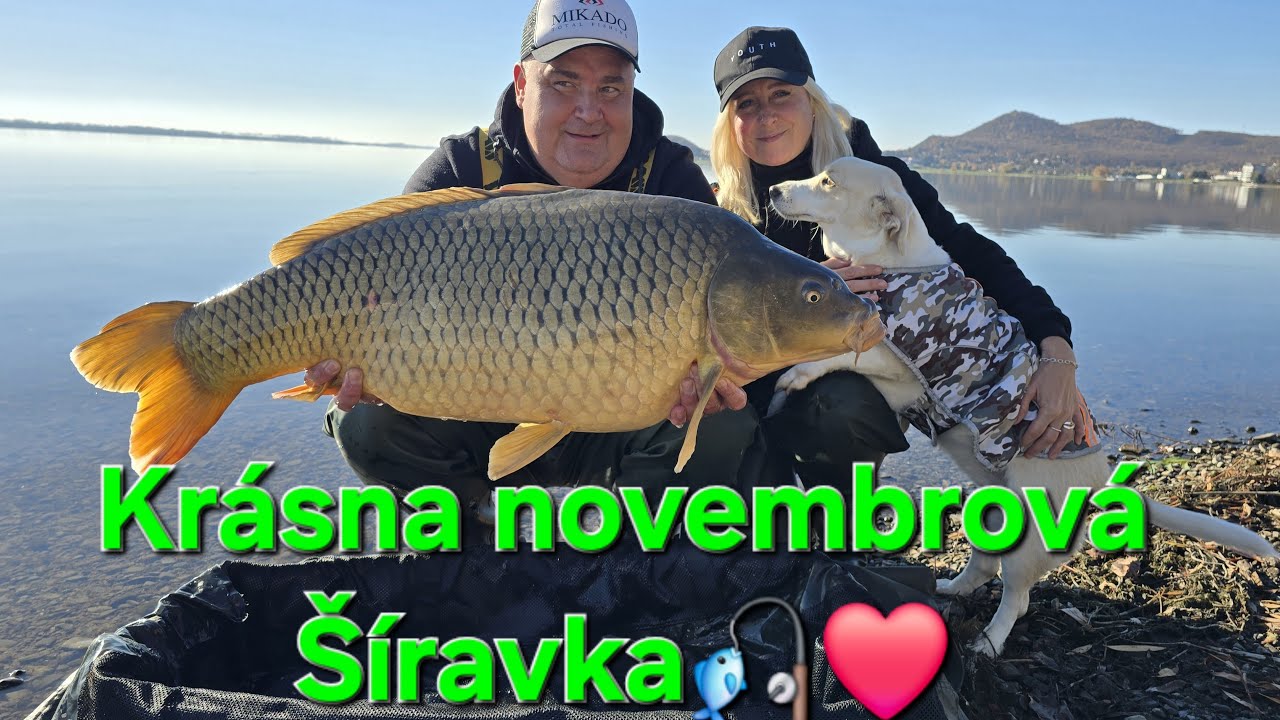 Šírava 11/ 2025