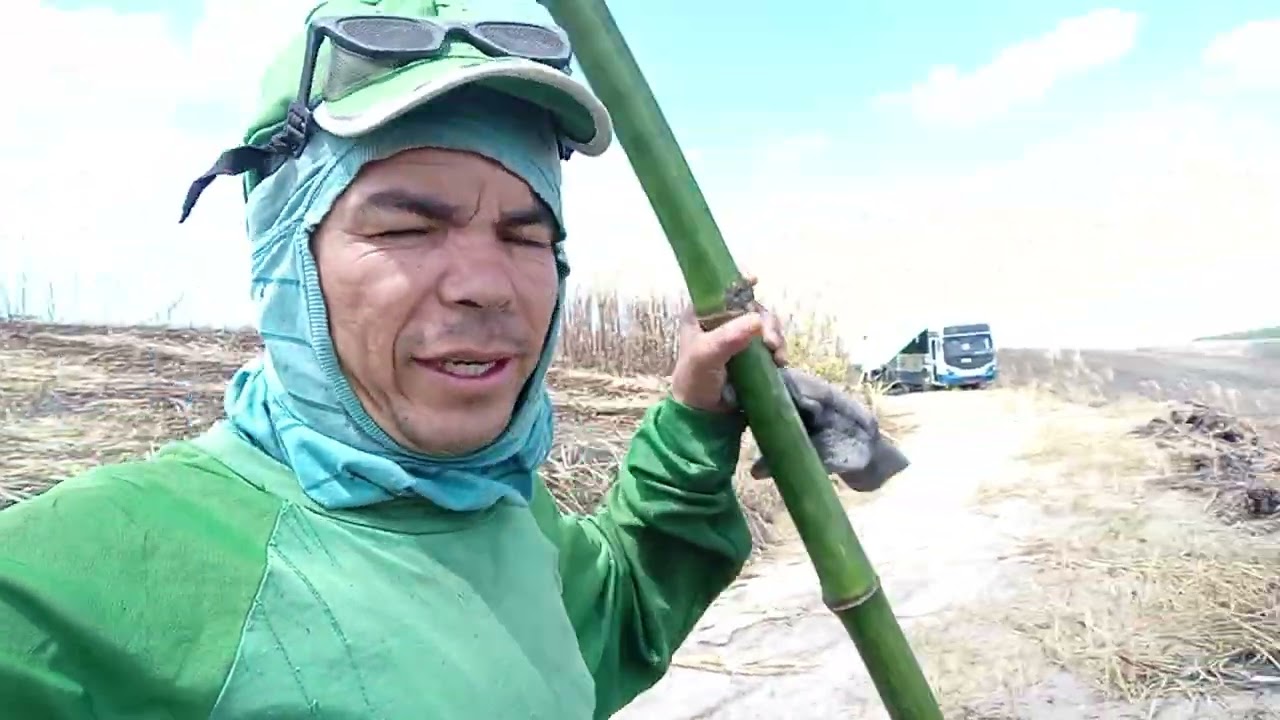 Tá se acabando as canas da fazenda quebra 