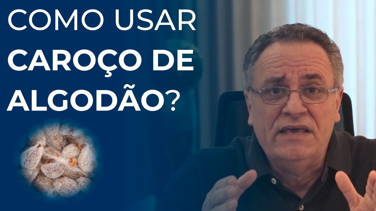 Como usar caroço de algodão na nutrição de gado de corte?