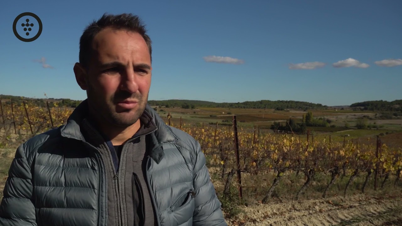 Des viticulteurs t&eacute;moignent de leur strat&eacute;gie de diversification