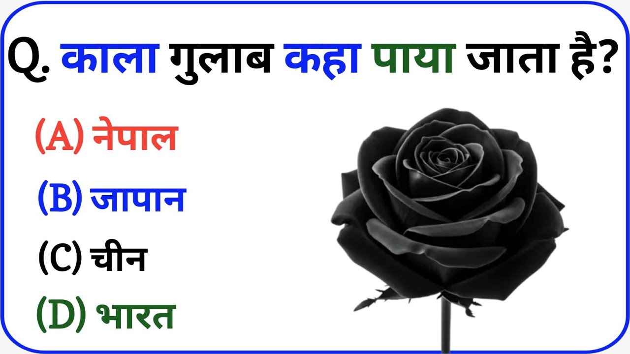 GK Question || GK In Hindi || GK Question and Answer || GK Quiz || LX GK STUDY 