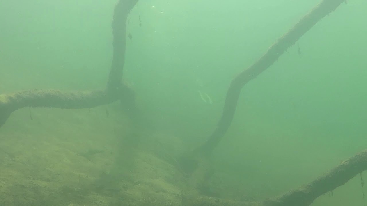 Nurkowanie w jeziorze Lubie, maj 2019