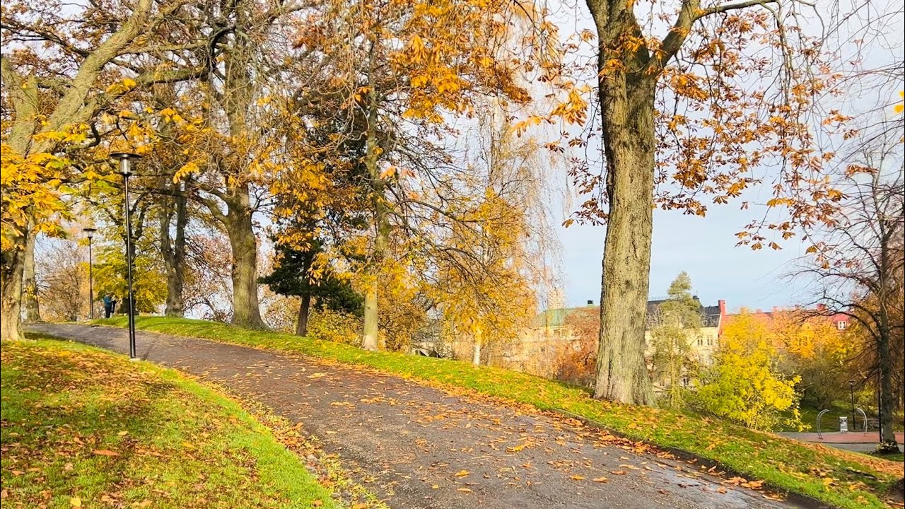 Stockholm Walks: Kronobergsparken. Beautiful city park in rare November sun. 