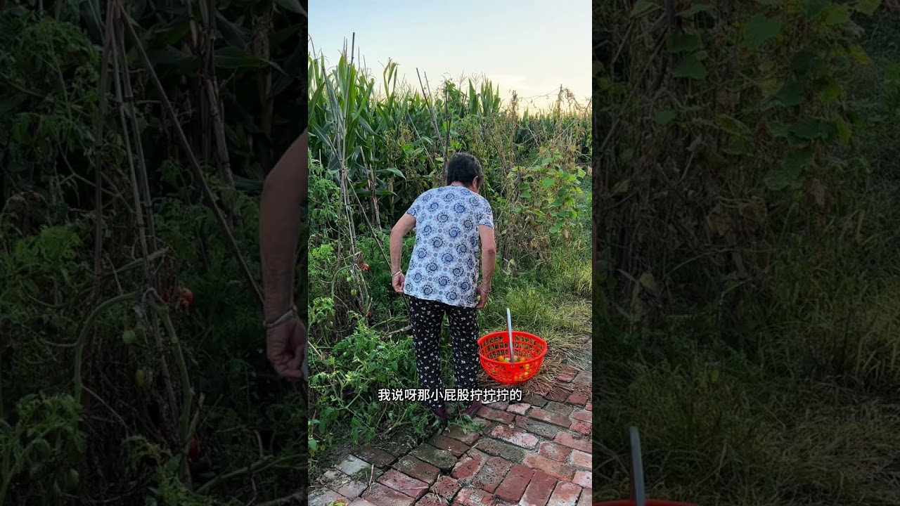 #农村的生活有多惬意 #乡村生活里的温情瞬间 #我的乡村生活vlog