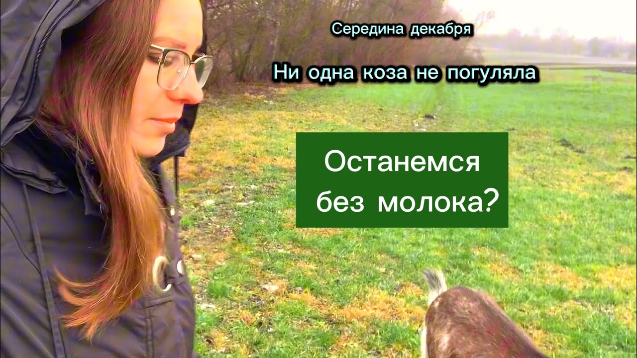 Остаемся без молока?🤷‍♀️