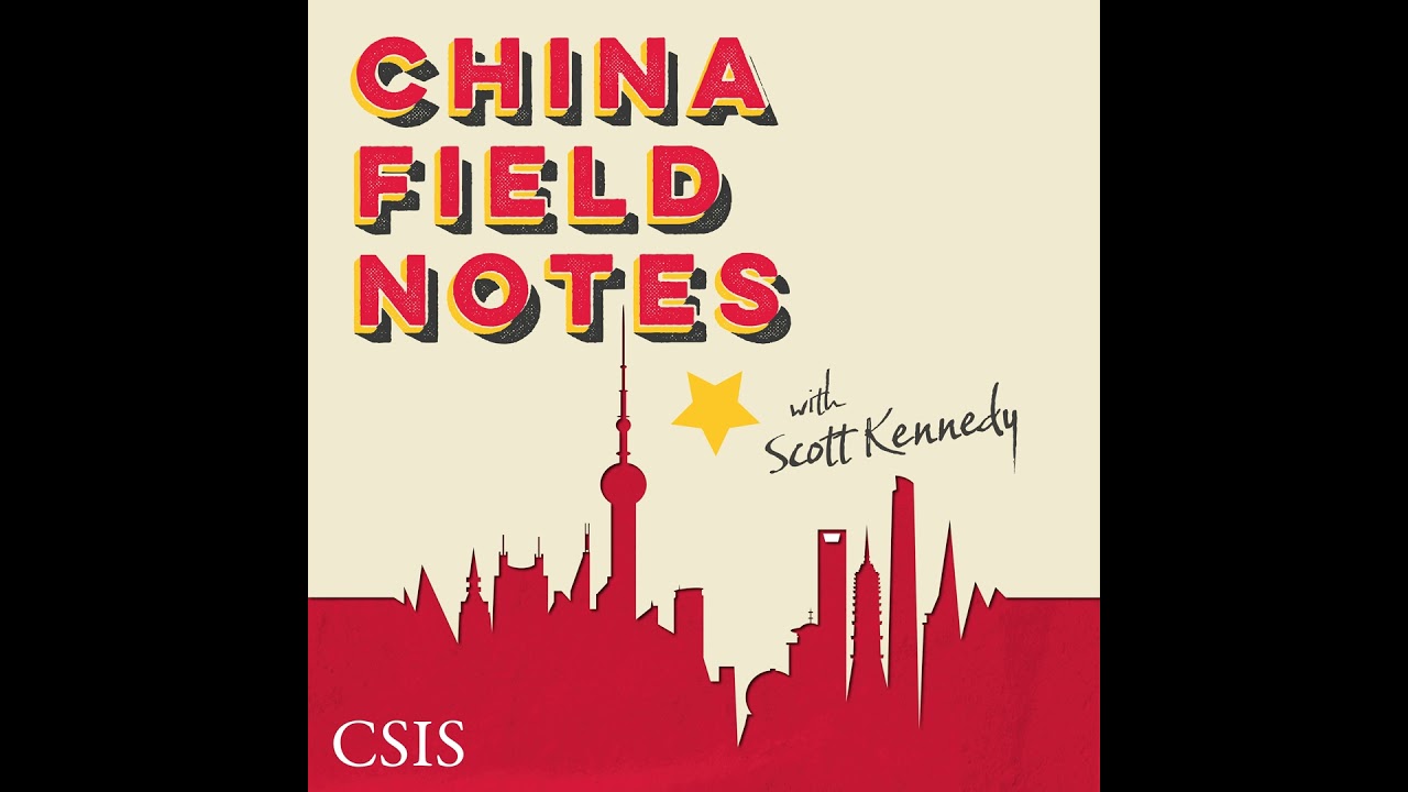 The Evolution of China&rsquo;s Government Affairs Industry: A Conversation with Yuan Haiying