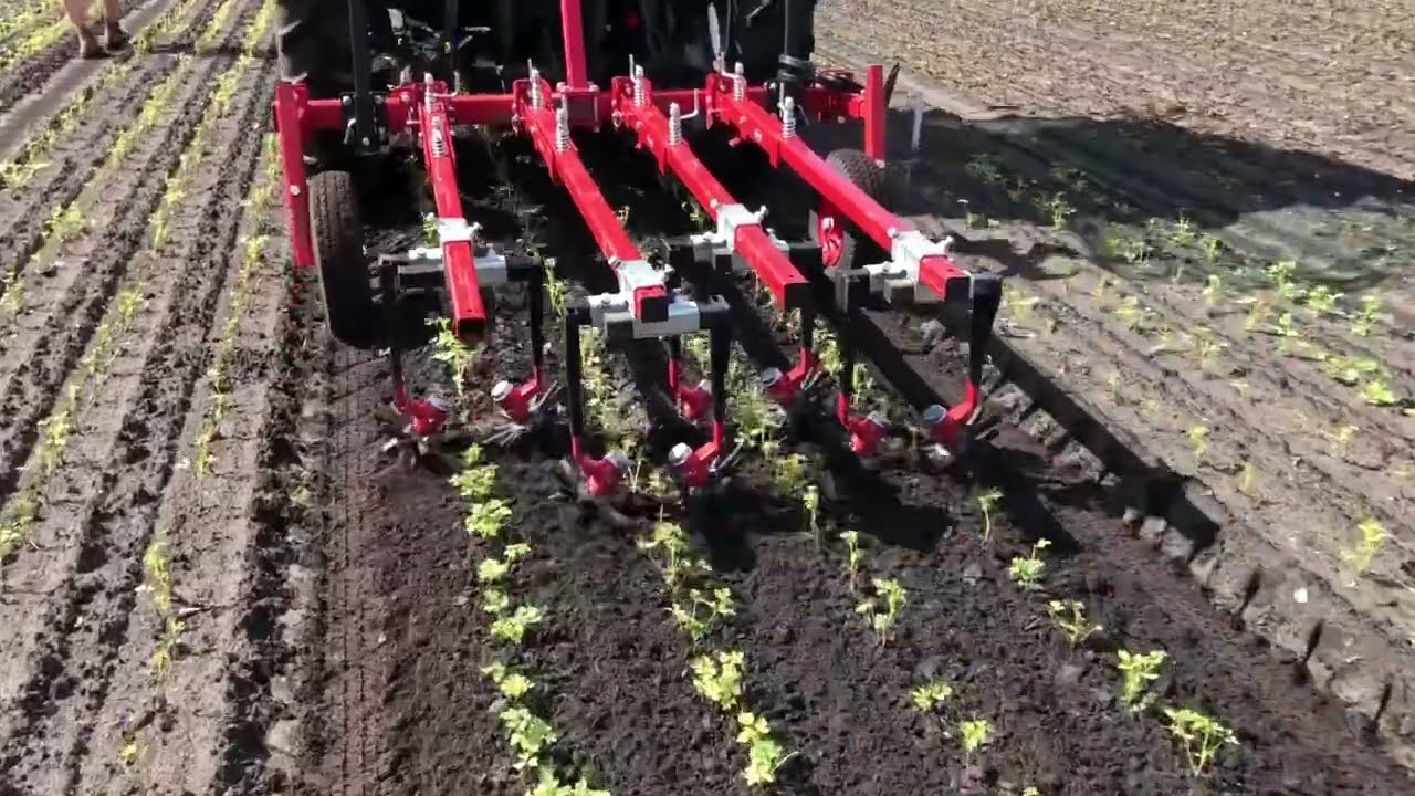 HENGERS.NL Steketee frontschoffel en vingerwieders in de vaste planten Buxus, Hortensia en Dicentra
