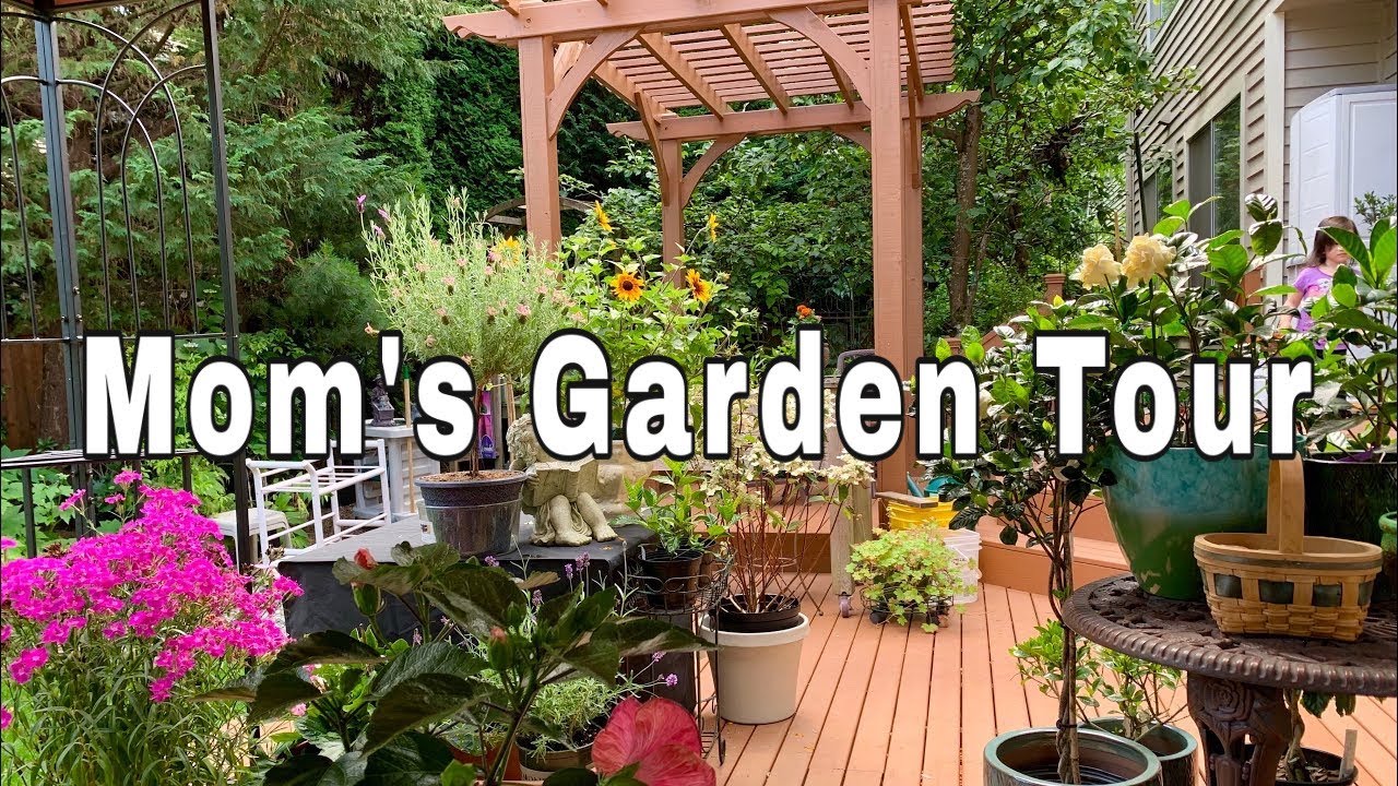My Mom’s Garden Tour PNW Zone 8b July 2019