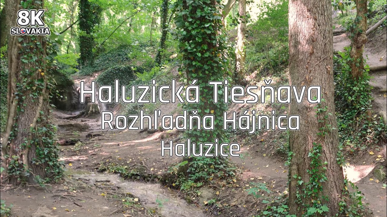 Haluzická Tiesňava a Rozhľadňa Hájnica, Haluzice 🇸🇰 8K Slovakia | Tip na výlet