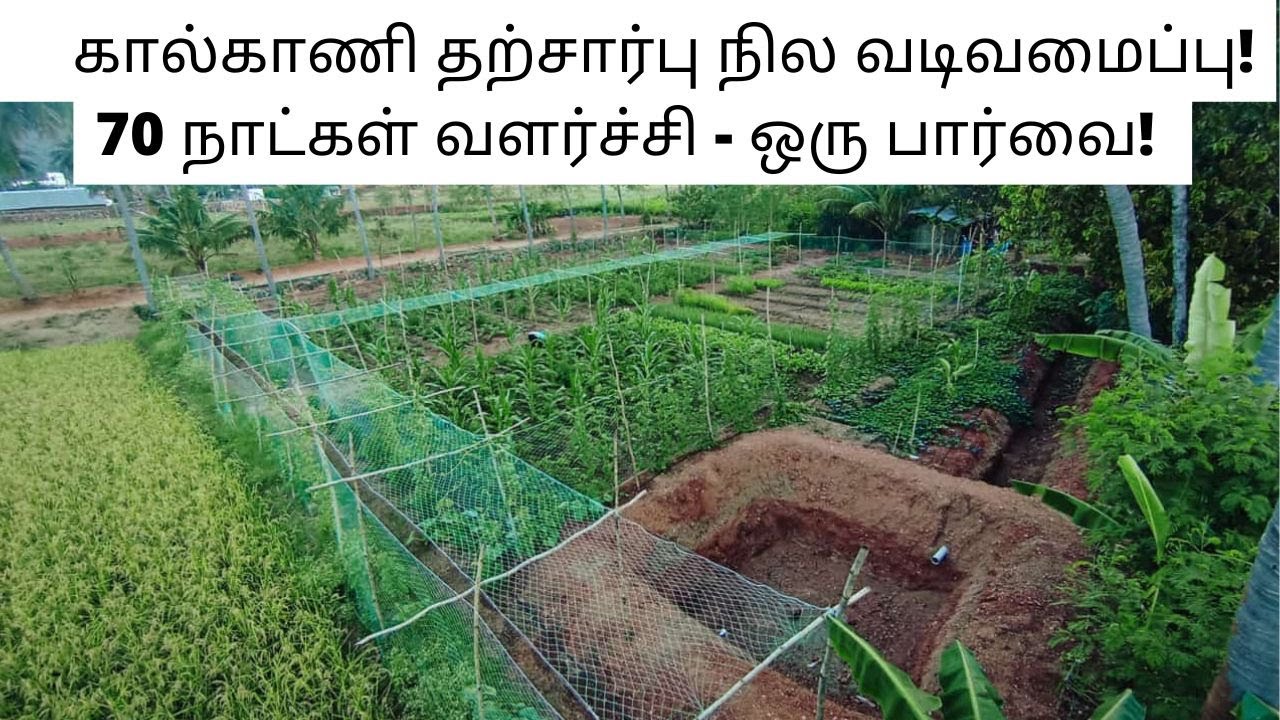 கால்காணி தற்சார்பு நில வடிவமைப்பு! 70 நாட்கள் வளர்ச்சி - ஒரு பார்வை! | Sasis Nature Path