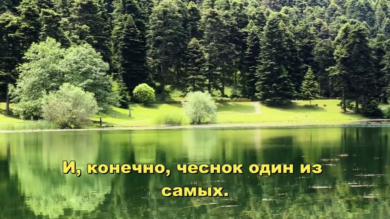 Главный урок стоицизма для людей старшего возраста