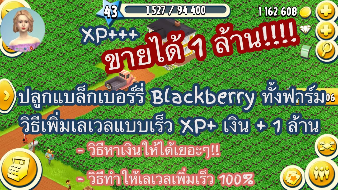 HAY DAY•ปลูกแบล็กเบอร์รี่ทั้งฟาร์มขาย! ได้เงิน 1 ล้าน 1 ล้านบาทนะทุกคน ไม่น่าเชื่อ XP+ ขึ้นเร็วมาก🫐