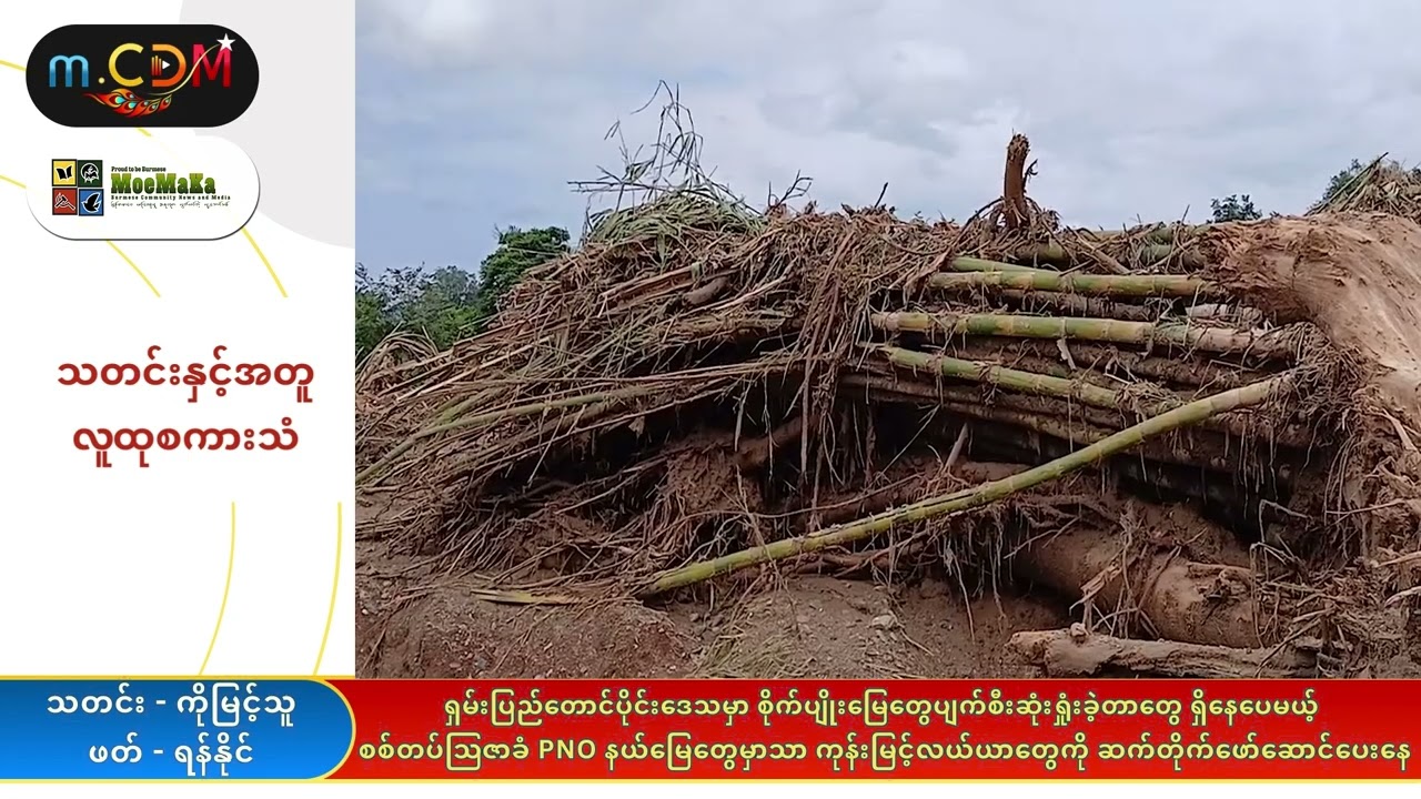 စစ်တပ်ဩဇာခံ PNO နယ်မြေတွေမှာသာ ကုန်းမြင့်လယ်ယာတွေကို ဆက်တိုက်ဖော်ဆောင်ပေးနေ