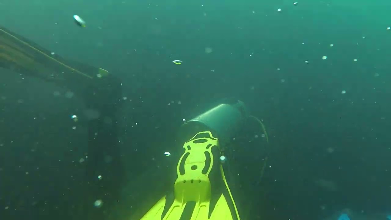 Buceo en El Folías 20201220 #3/12