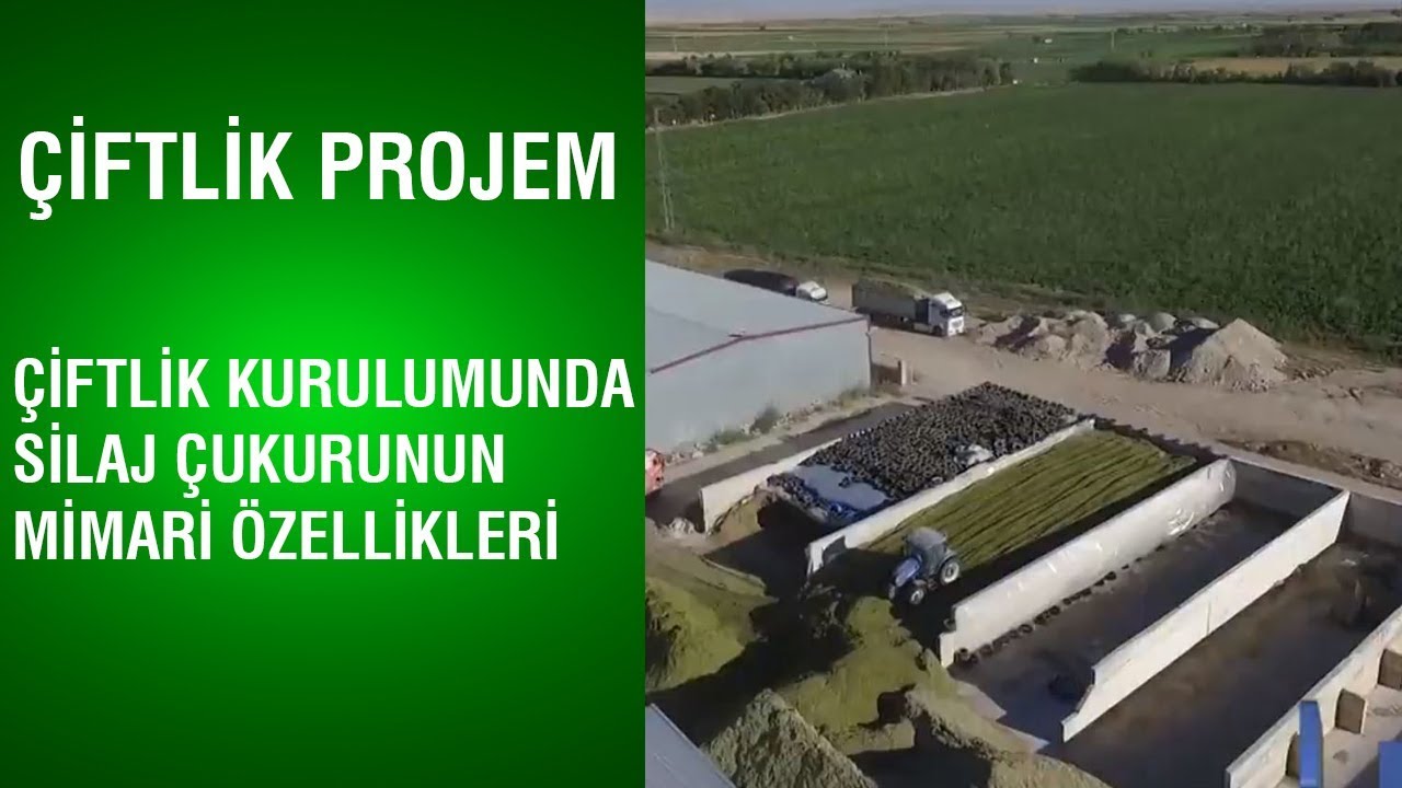 Çiftlik Projem - Çiftlik Kurulumunda Silaj Çukurunun Mimari Özellikleri
