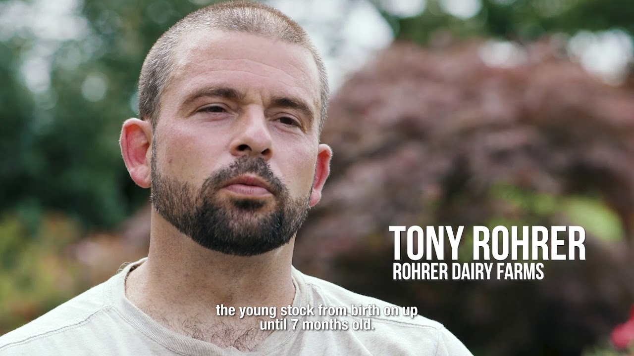 2019 Calving Corner: Rohrer Dairy Farm