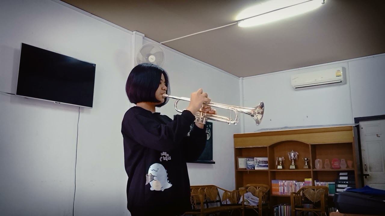Mi-re trumpet player 🎺 Feelings by Morris Albert