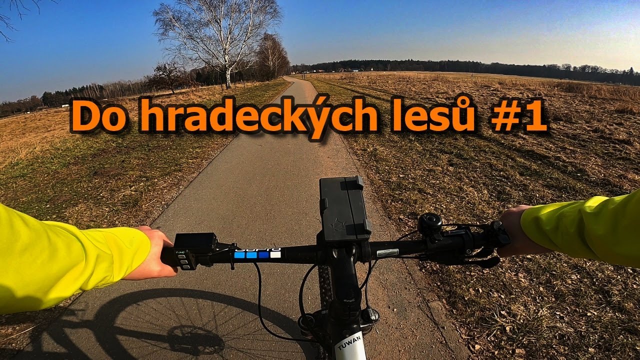 Hradecké lesy / 