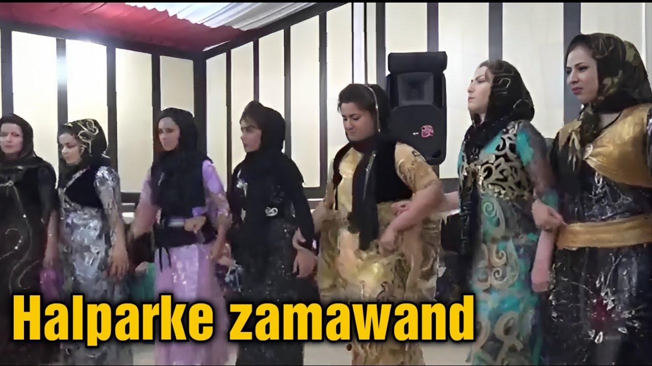 Best Kurdish wedding dance #5