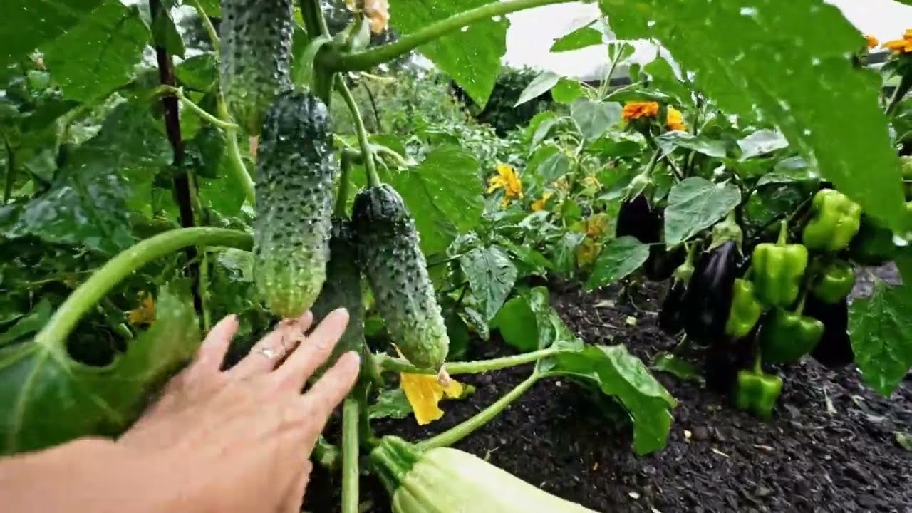 A Journey to Your Dream Garden Paradise 2026 &ndash; Peaceful Slow Living