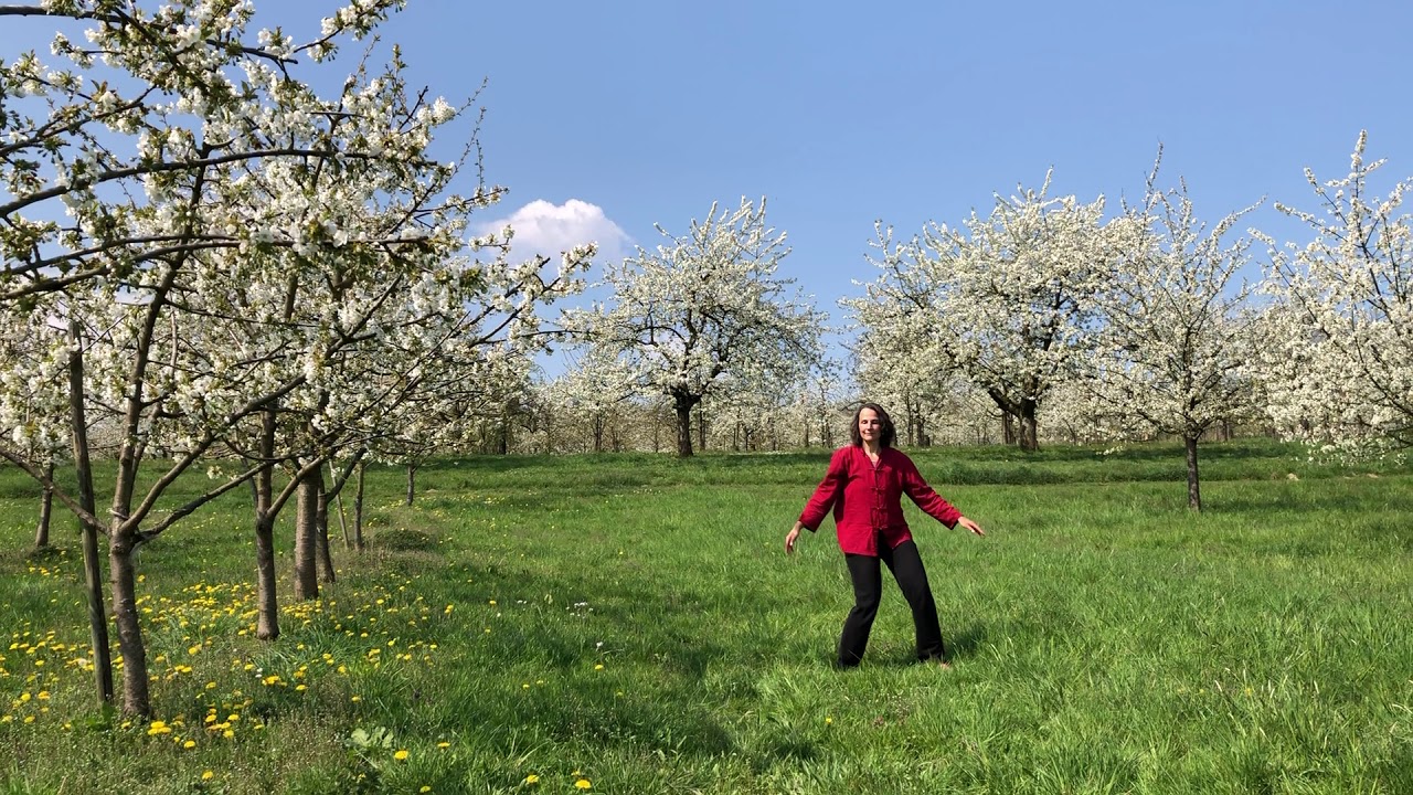 Tai Chi Ch'uan: Lee Stil (Kleine Form, 1-15)