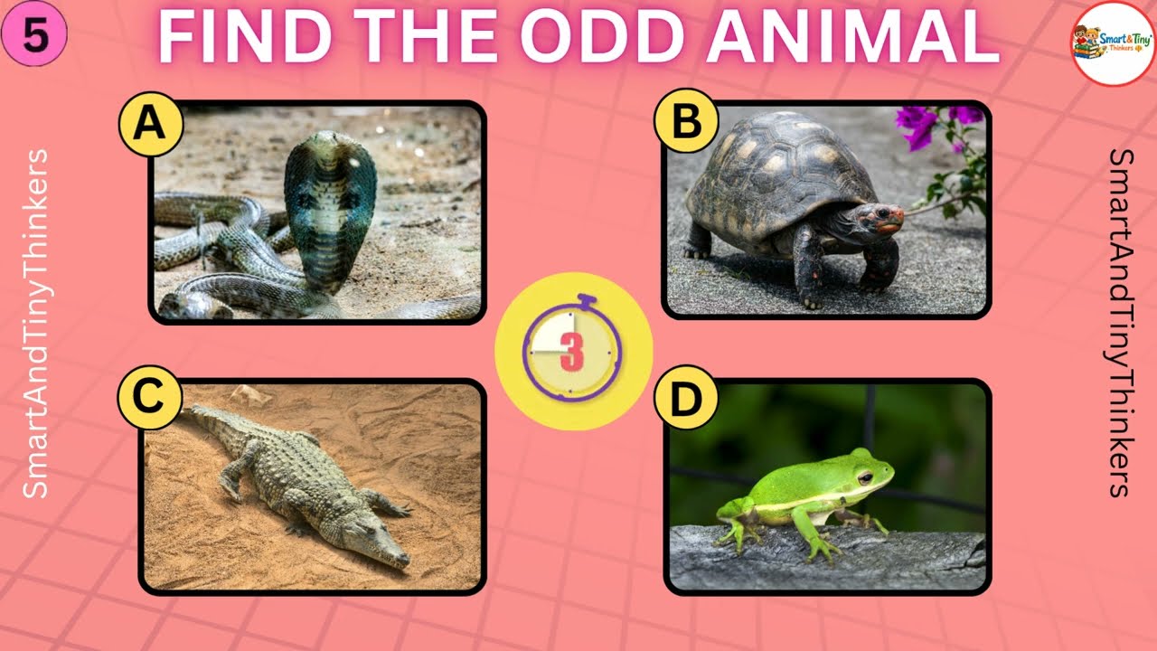 🦁 Only Geniuses Can Find the Odd Animal in 10 seconds 🧐 | Animal Quiz
