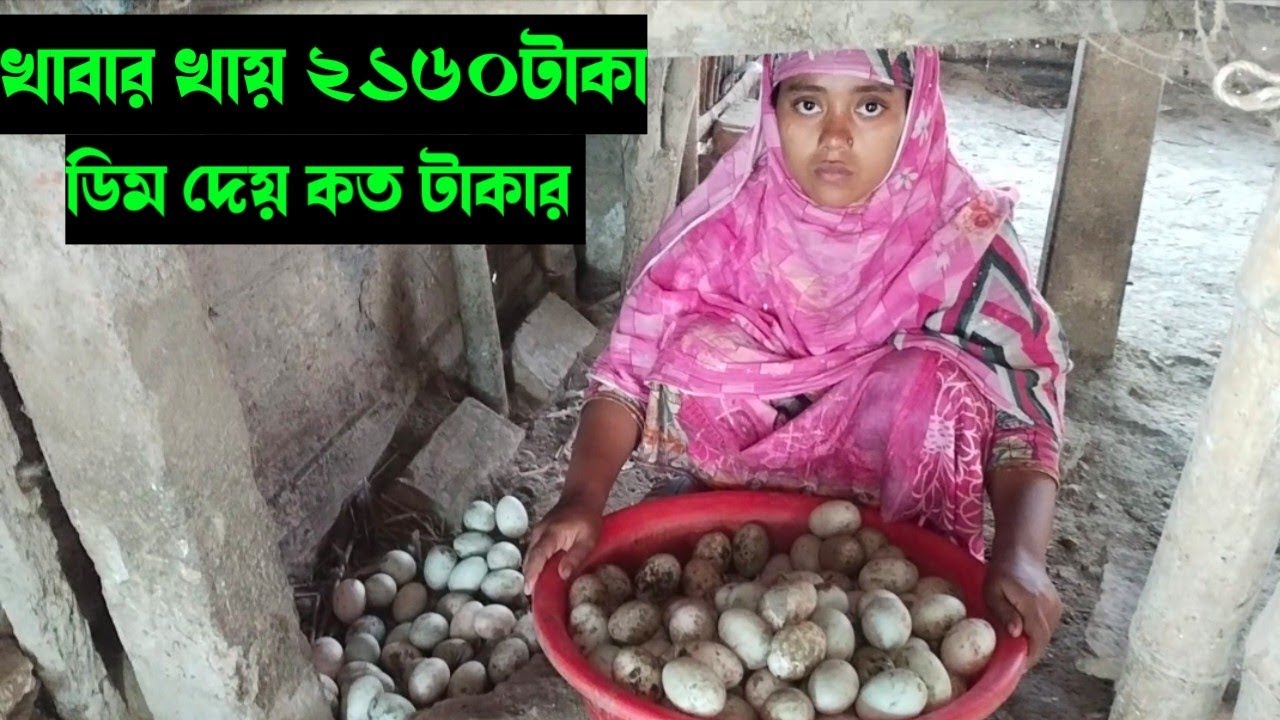 ৩৫০টি হাঁস প্রতি দিন খাবার খায় ২১৬০টাকা। ডিম দেয় কত টাকার।