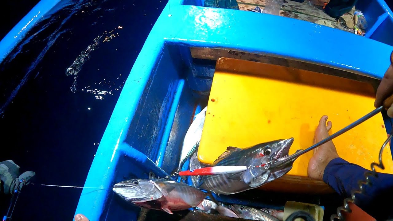 KENYAR MANIA ‼️SUDAH ADA TANDA-TANDA MUSIM IKAN KENYAR DI LAUT GRAJAGAN #pessfishing #mancingkenyar